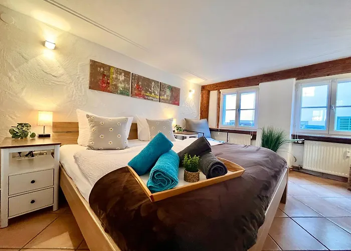 Seenest 'zum Blauen Schild' Mit Parkplatz Apartman Konstanz